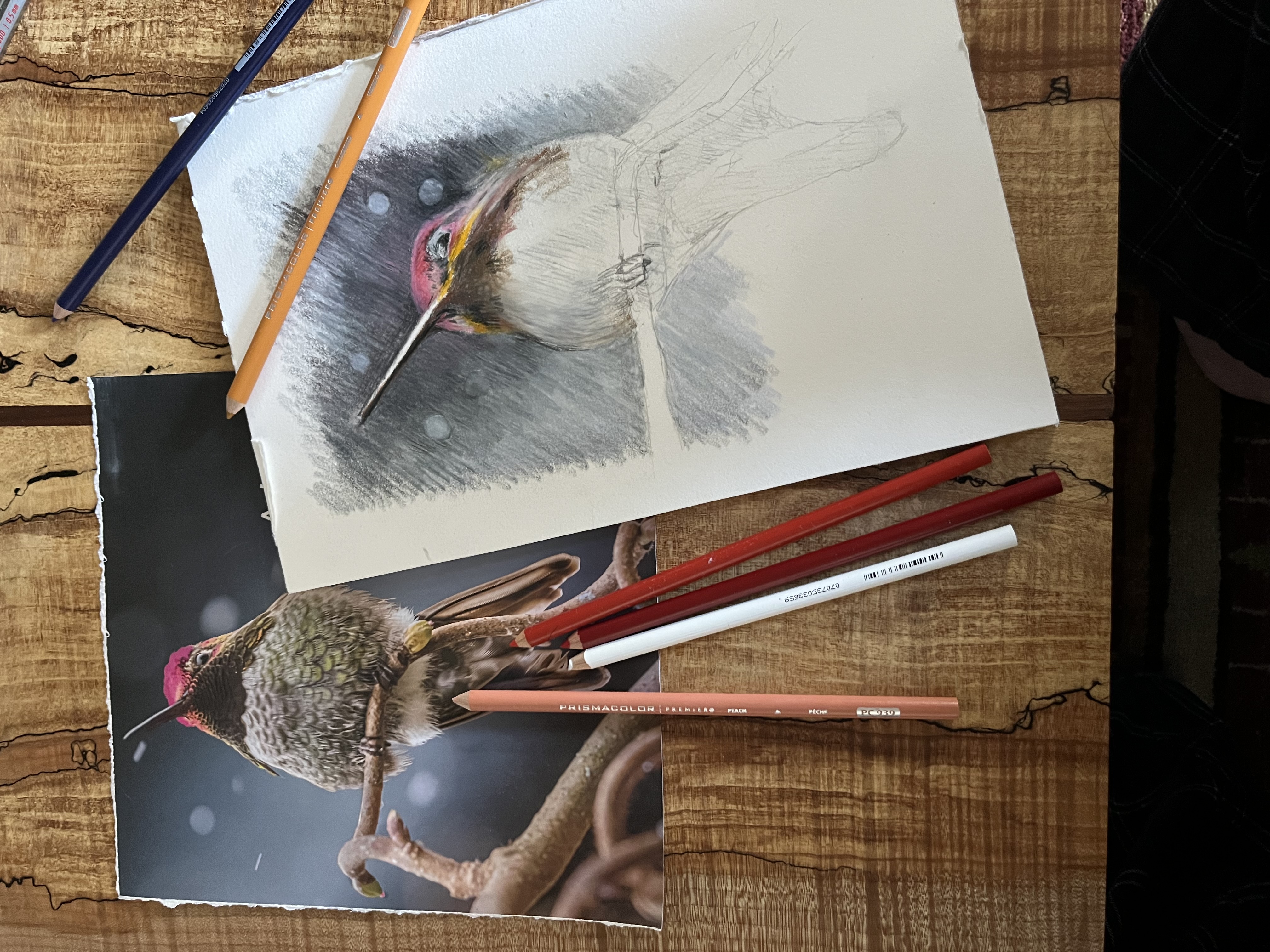 Introduction to Colored Pencil